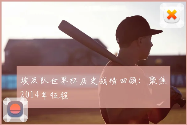 埃及队世界杯历史战绩回顾：聚焦2014年征程