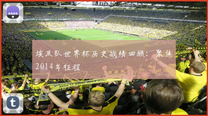 埃及队世界杯历史战绩回顾:聚焦2014年征程
