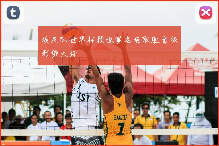 埃及队世界杯预选赛客场取胜晋级形势大好