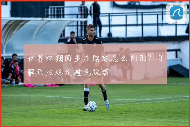 世界杯期间坐庄赌球怎么判刑？了解刑法规定避免踩雷