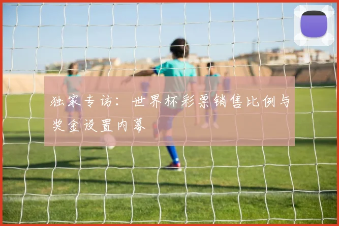 独家专访：世界杯彩票销售比例与奖金设置内幕