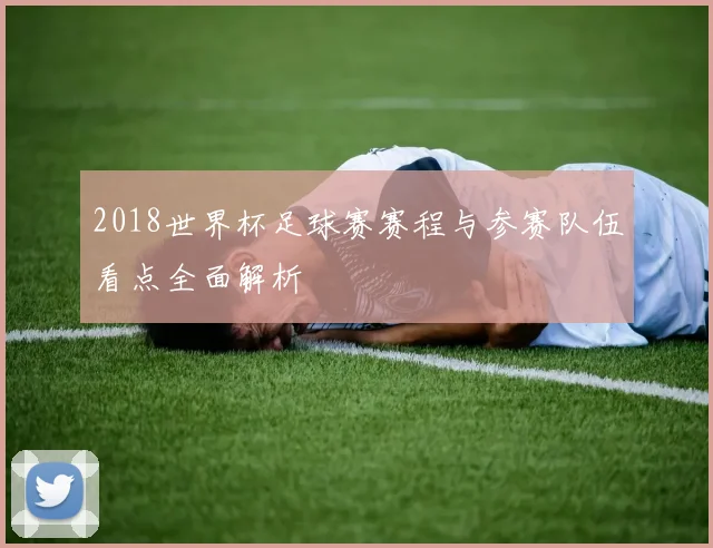 2018世界杯足球赛赛程与参赛队伍看点全面解析