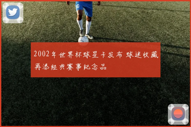 2002年世界杯球星卡发布 球迷收藏再添经典赛事纪念品