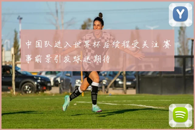 中国队进入世界杯后续程受关注 赛事前景引发球迷期待