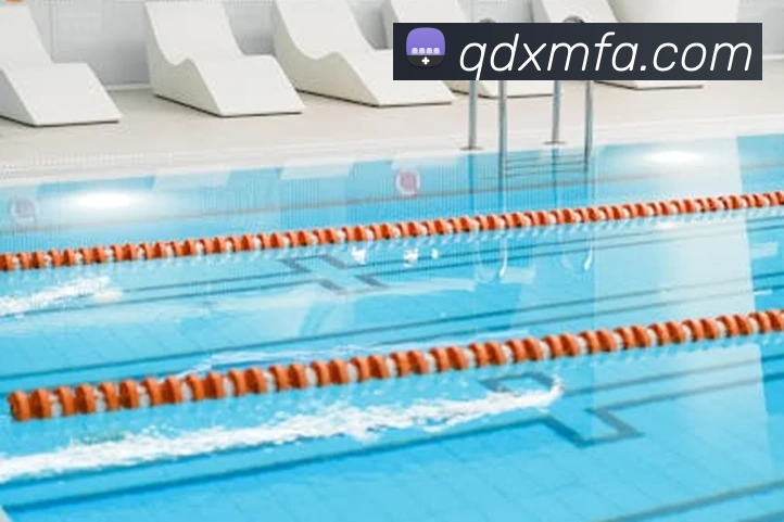 App Interface Preview